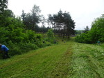 03 DSC02586