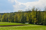 04 DSC 1903