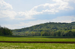 05 DSC 1905