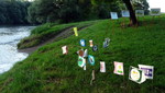 25 DSC06690