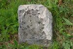 mali miljokaz Brajakovo Brdo Lara Cernicki Staso Forenbaher 2009