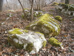 Straza3 6.3.2020