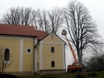 01-IMG 7298